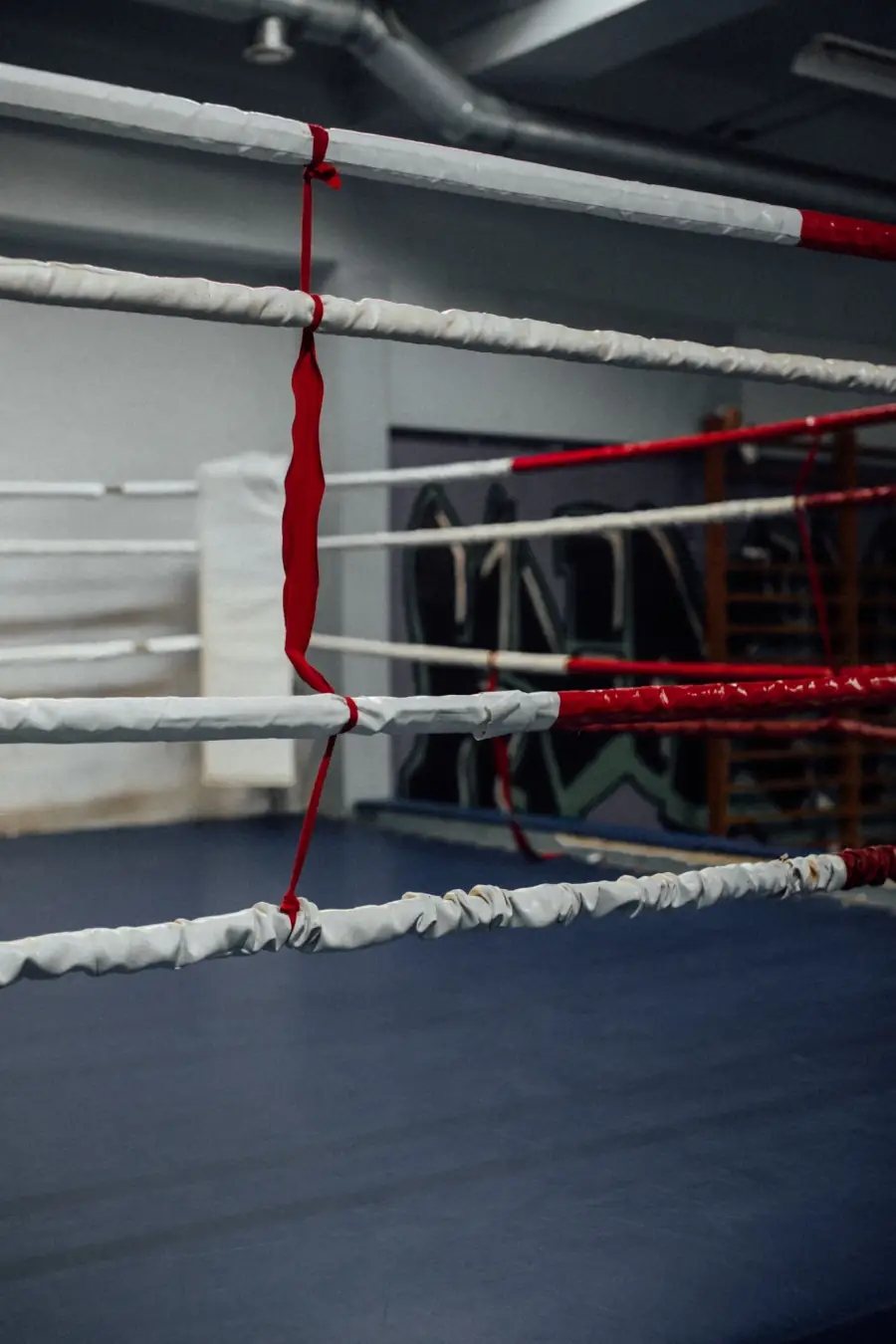 Cuerdas de un ring de boxeo en un gimnasio en penumbra